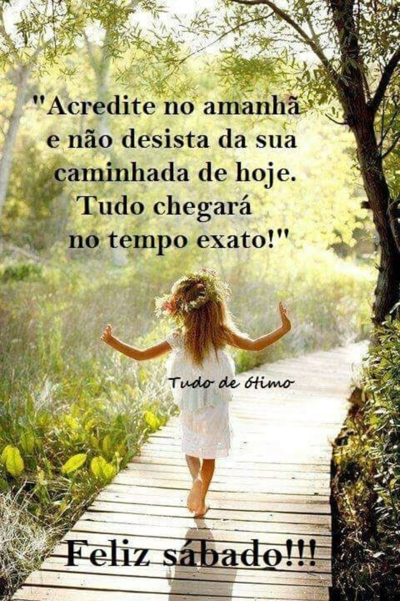 Tudo de ótimo Archives - Página 4 de 14 Tudo de ótimo Archives - Página 4 de 14