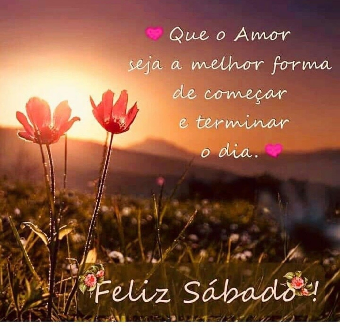 Baixar belas imagens de bom dia de sábado Baixar belas imagens de bom dia de sábado