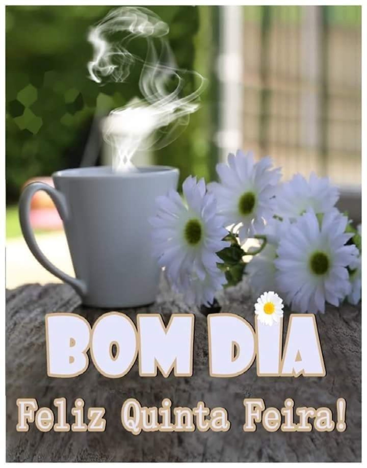 Baixe belas fotos da quinta-feira feliz 21