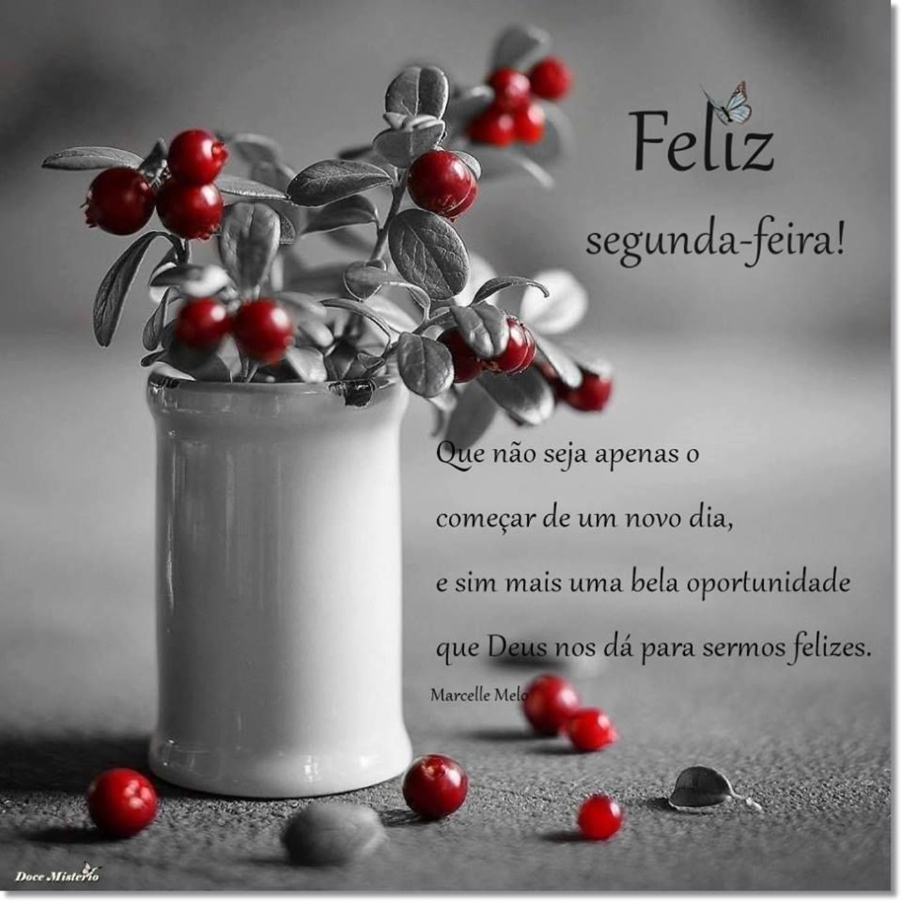 Belas Fotos Bonitas Imagens Bom Dia Segunda Feira Belas Fotos Bonitas Imagens Bom Dia Segunda Feira