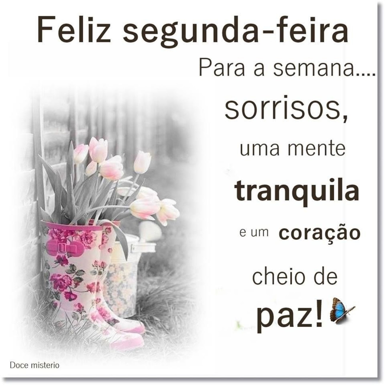 Belas Fotos Bonitas Imagens Bom Dia Segunda Feira Belas Fotos Bonitas Imagens Bom Dia Segunda Feira
