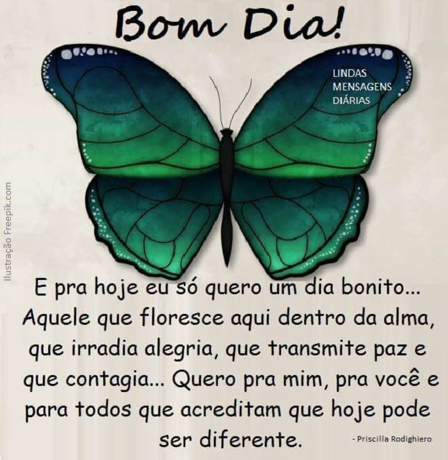 Belas Imagens com Frases Bom Dia Baixar 266