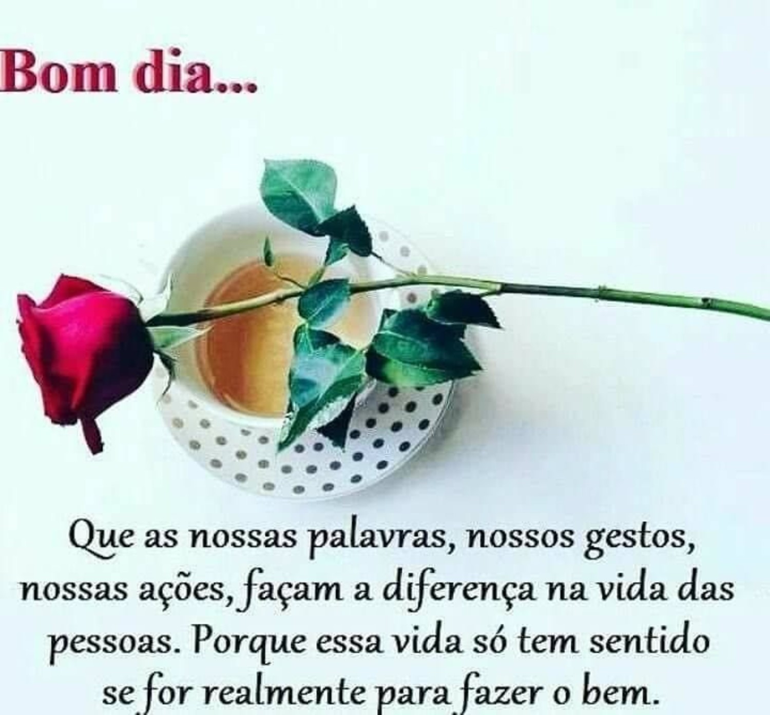 Belas Imagens com Frases Bom Dia Baixar 269