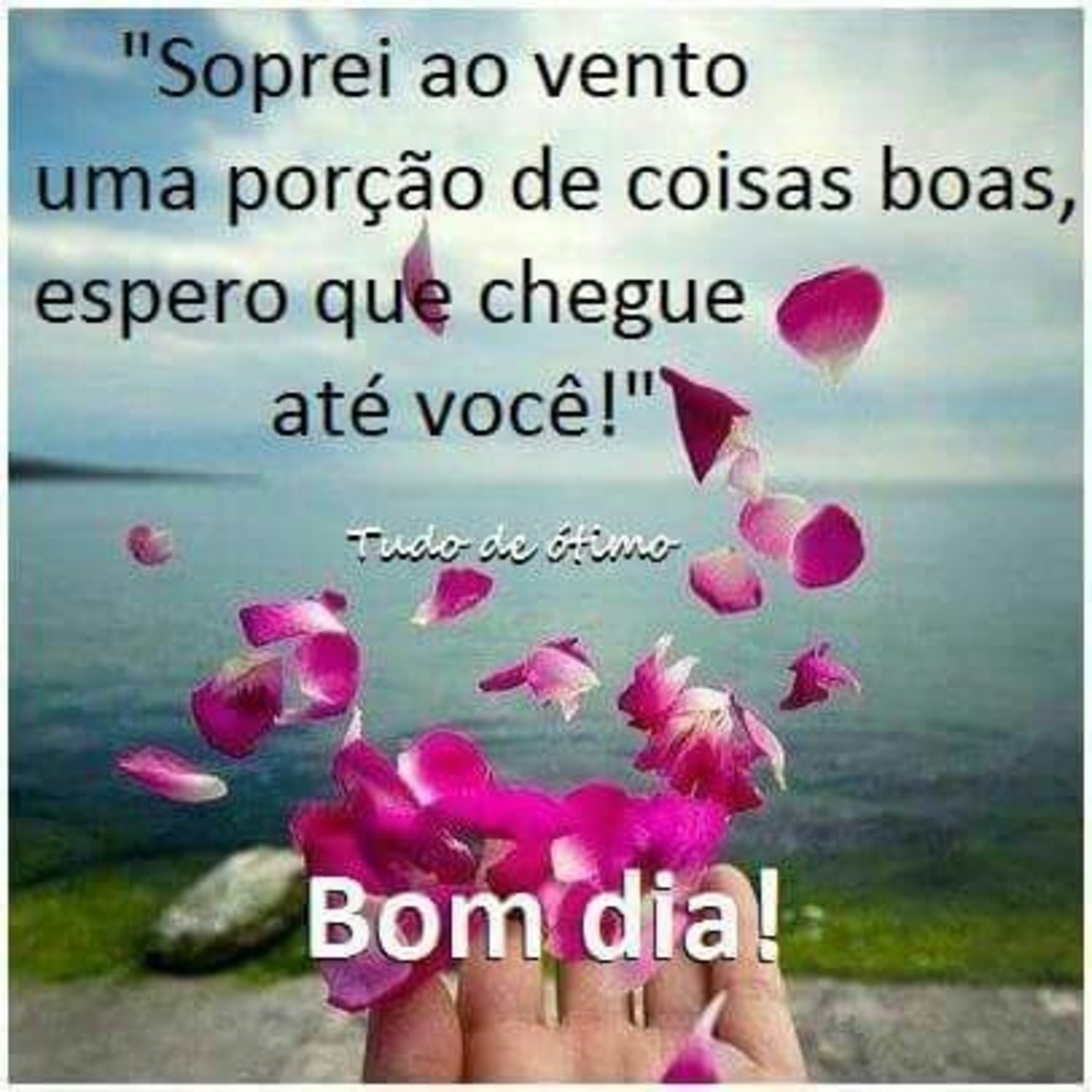 Belas Imagens com Frases Bom Dia Baixar 274