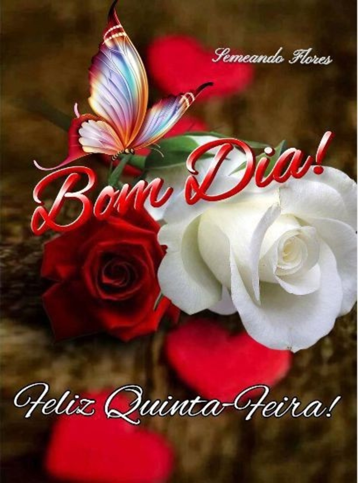 Belas imagens Feliz Quinta feira amor 115