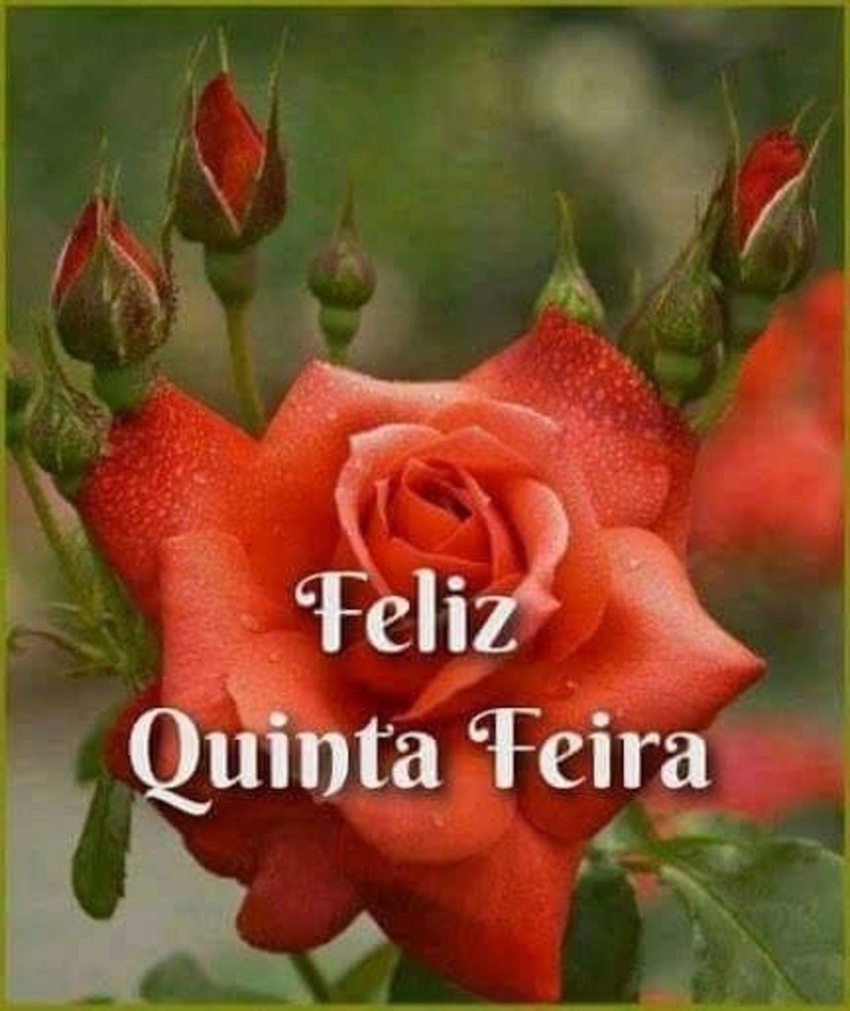 Belas imagens Feliz Quinta feira amor 123