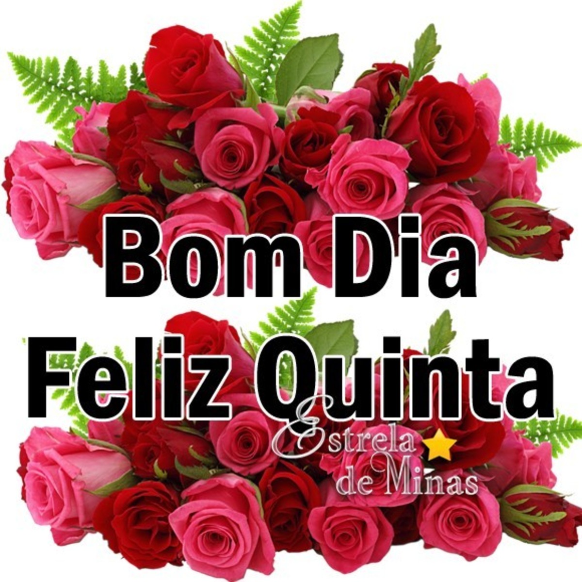 Belas imagens Feliz Quinta feira amor 177