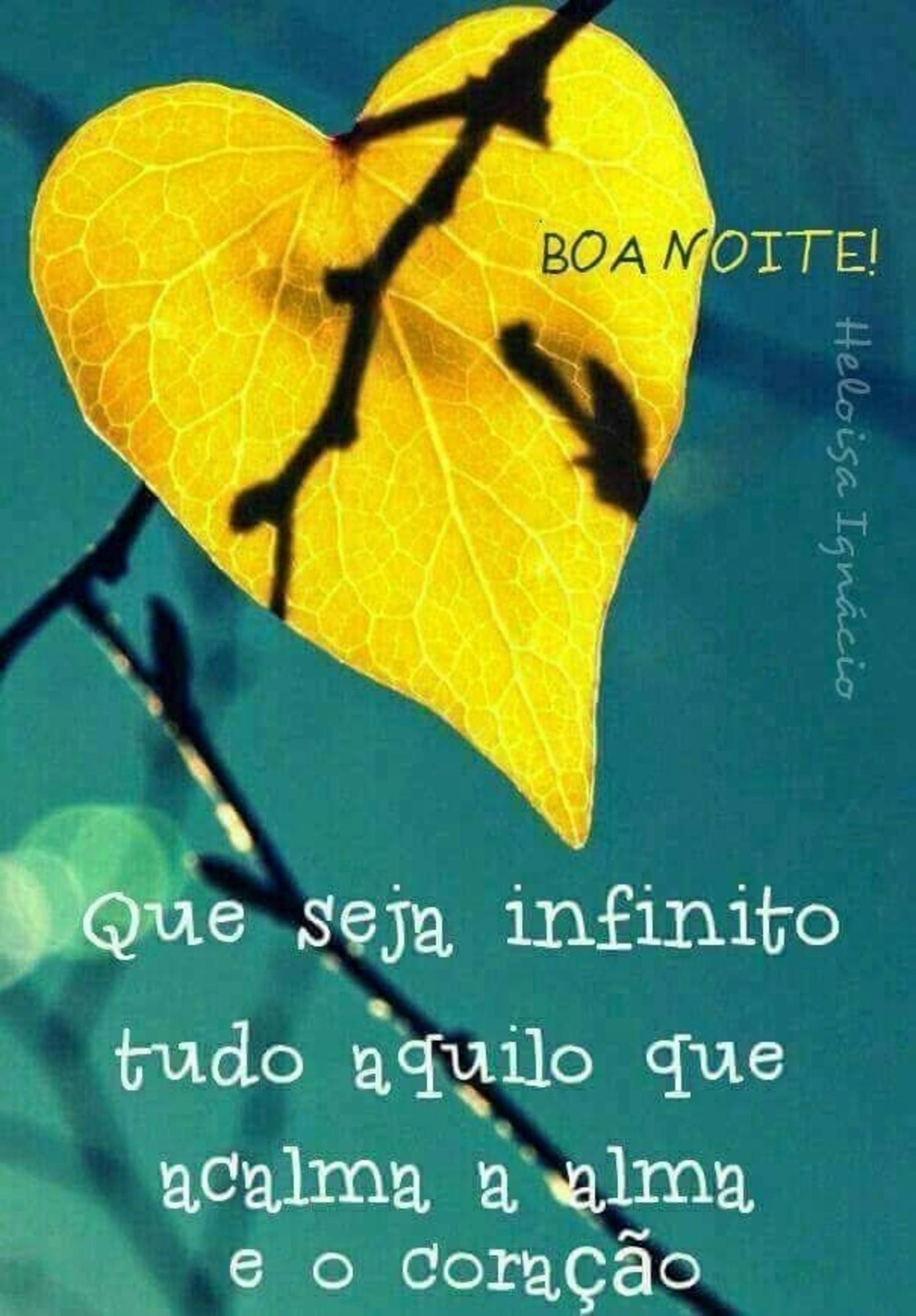 Boa Noite 102