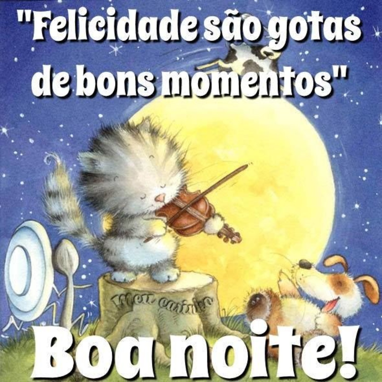 Boa Noite 106