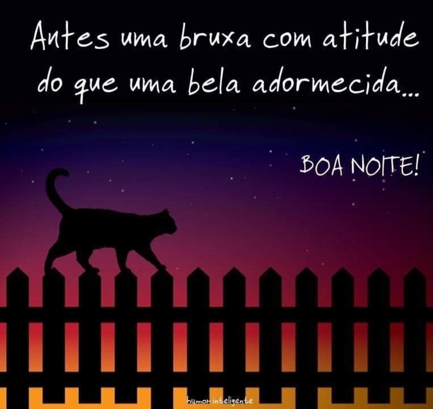 Boa Noite 11