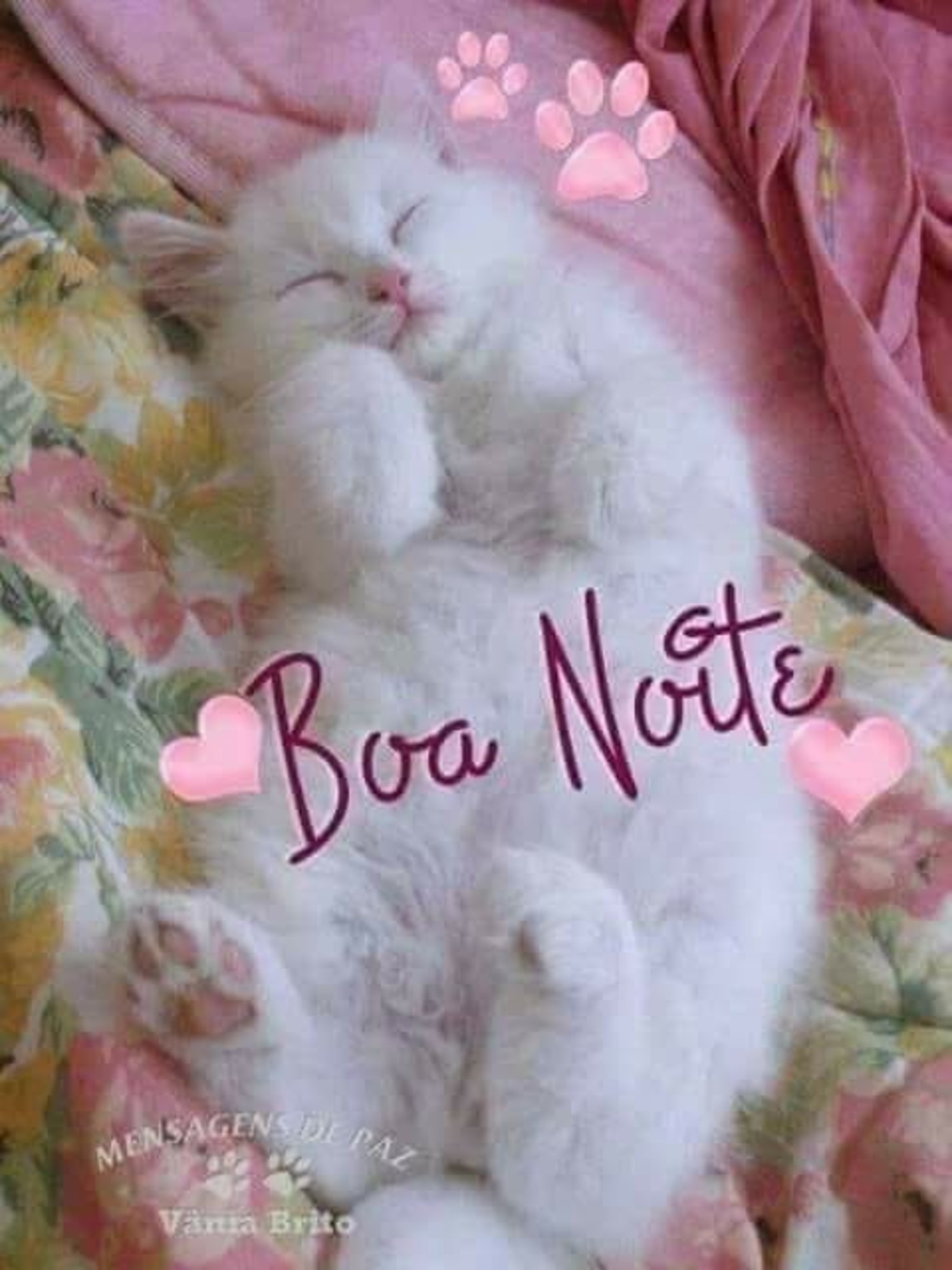 Boa Noite 168