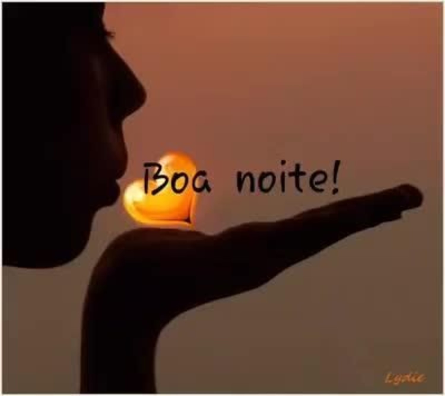 Boa Noite 367