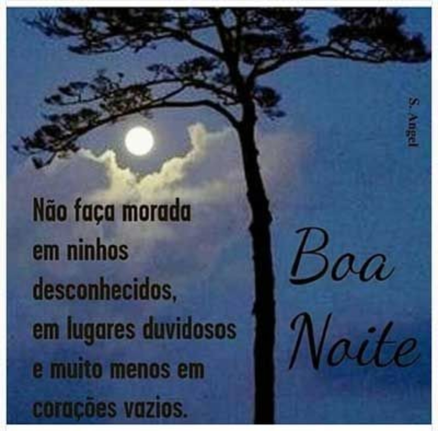 Boa Noite Pinterest 181