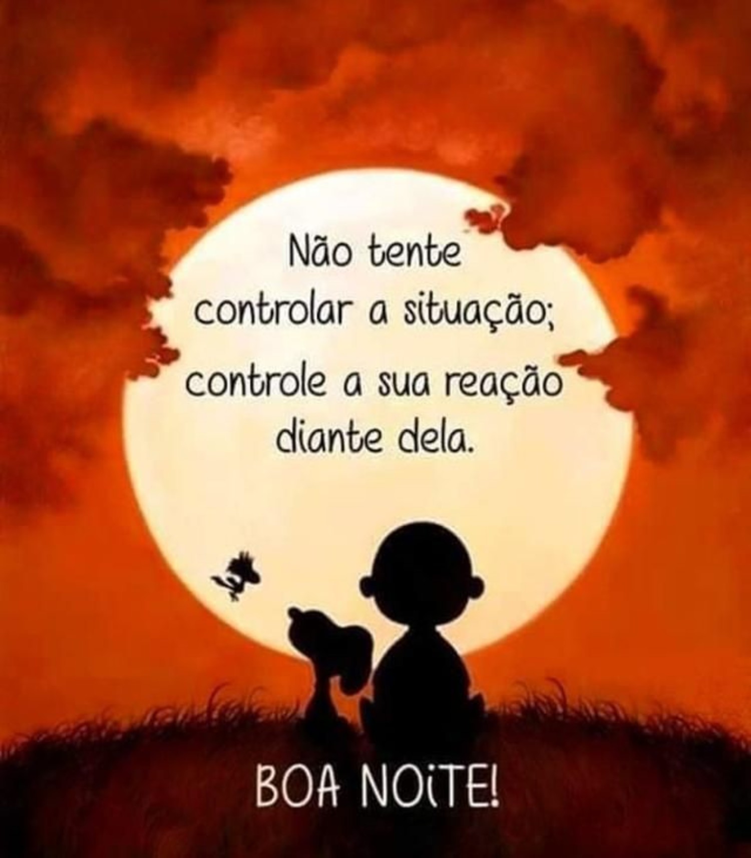 Boa Noite Snoopy 10