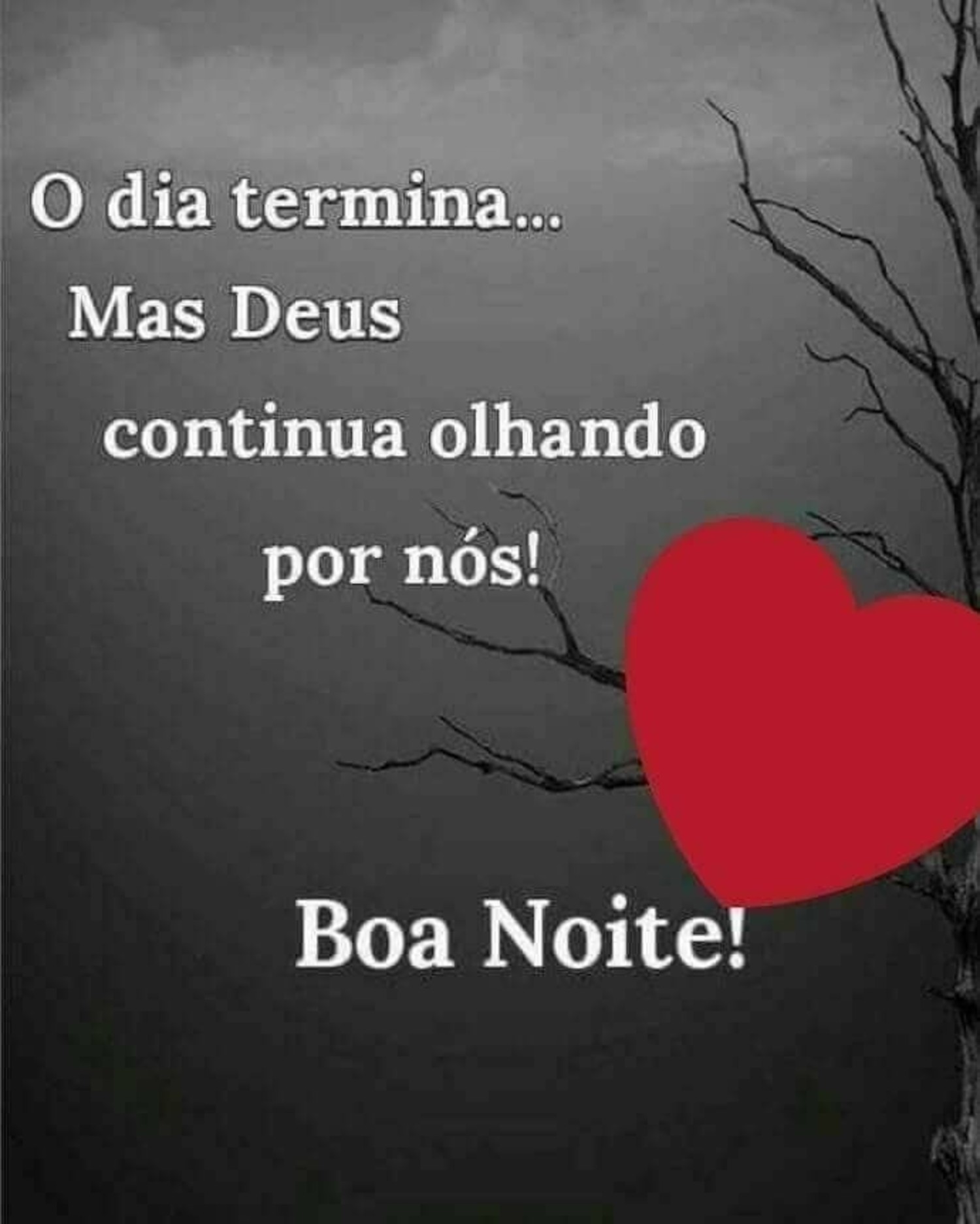 Boa Noite Whatsapp Imagens 76