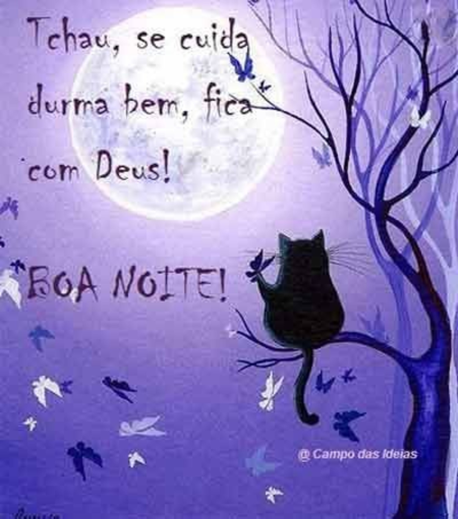 Boa Noite a todos 271