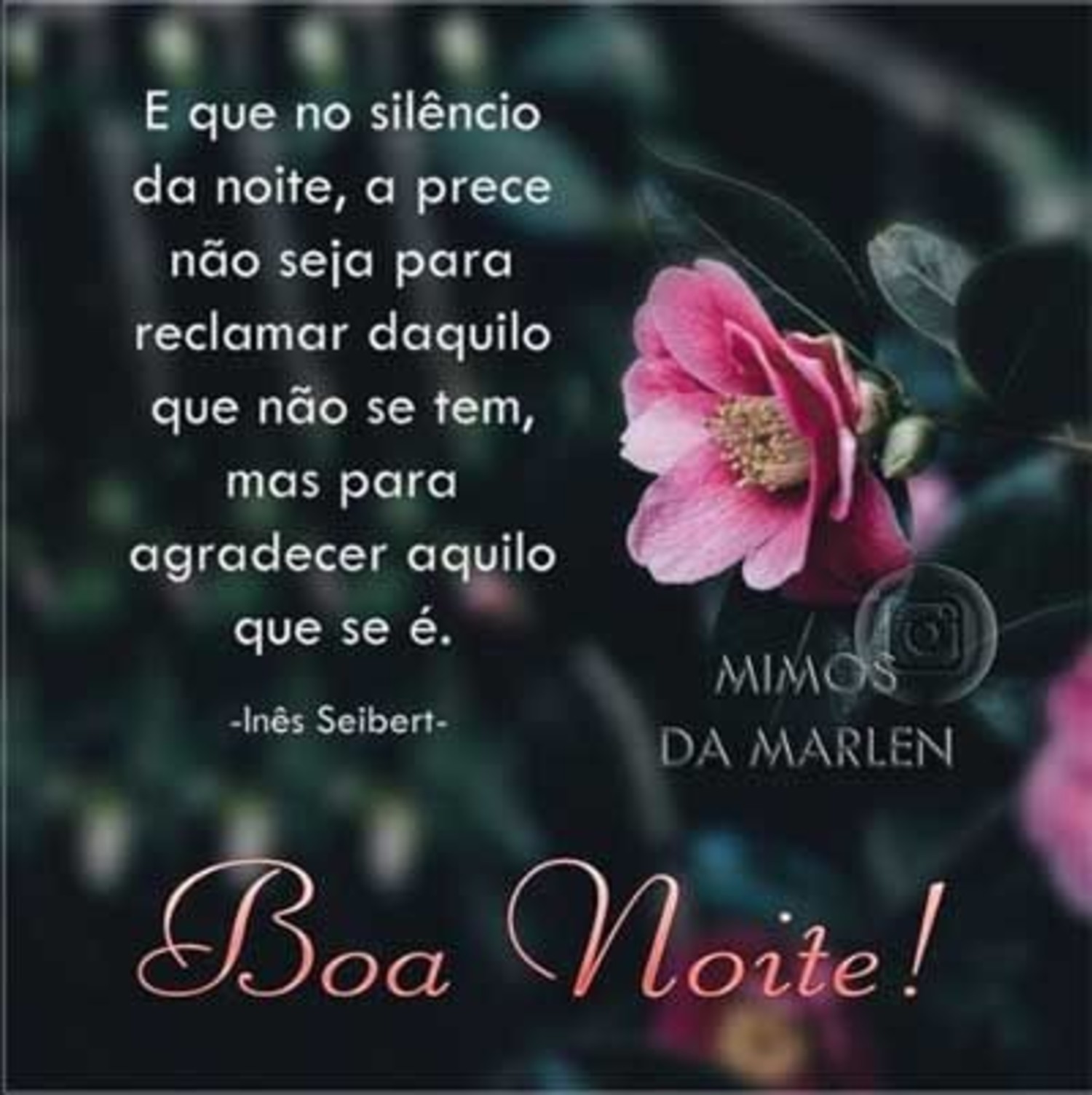 Boa Noite a todos 272