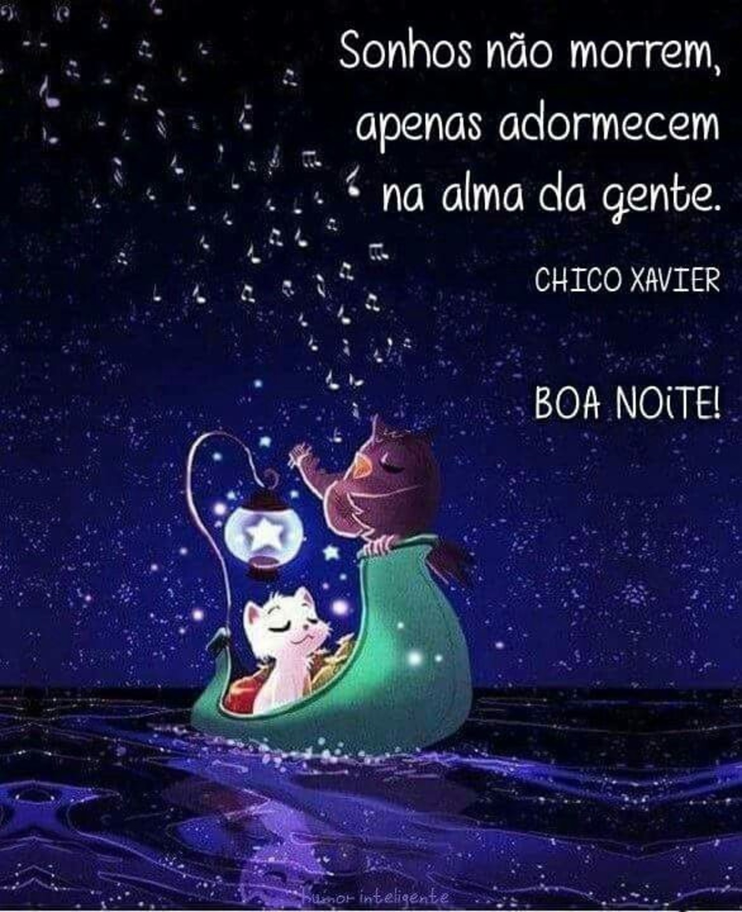 Boa Noite a todos 277