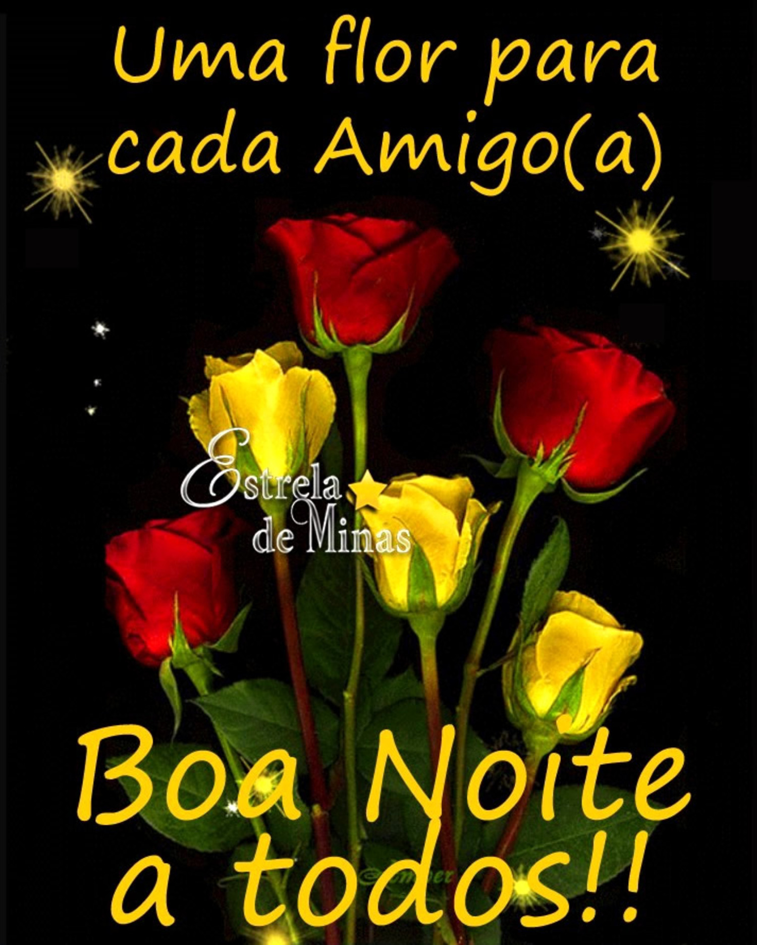 Boa Noite amigos 139