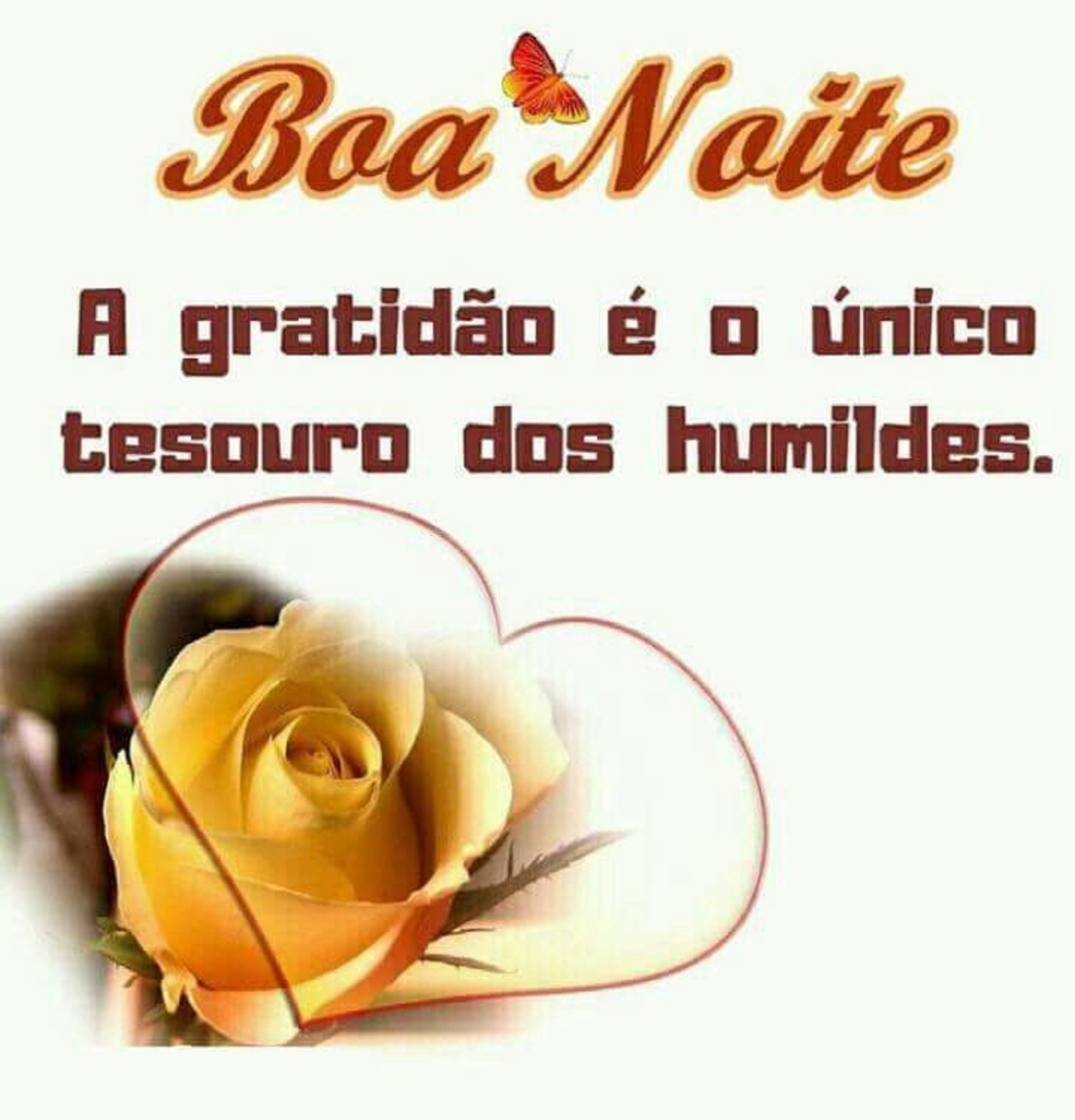 Boa Noite amigos 281