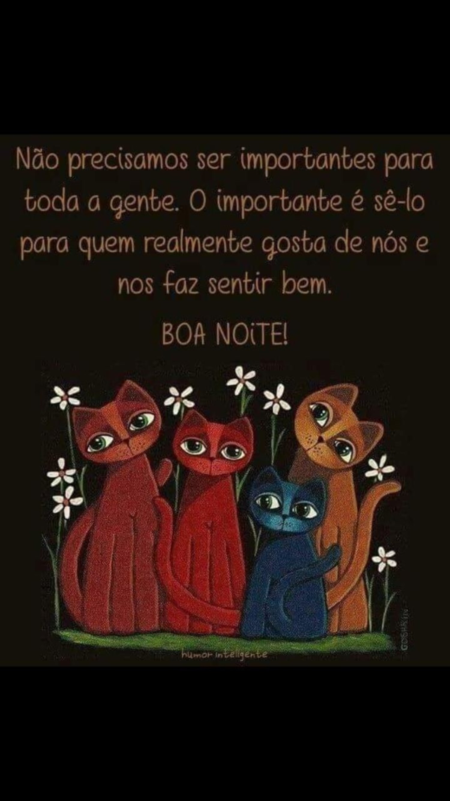 Boa Noite amigos 290