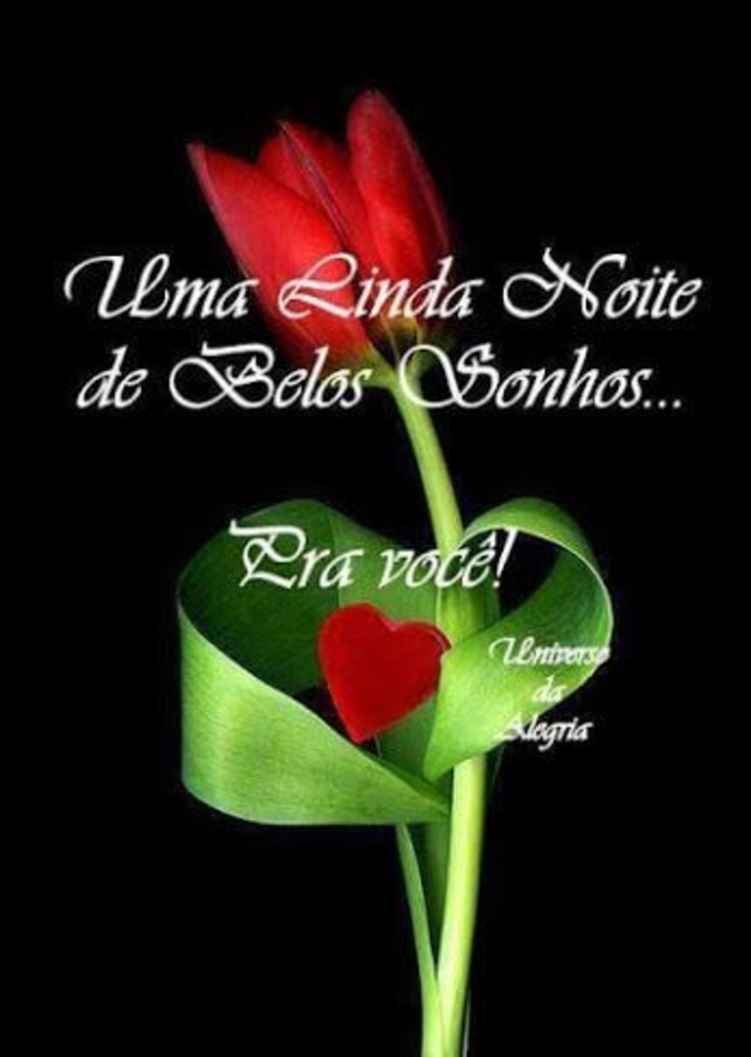 Boa Noite amor 18