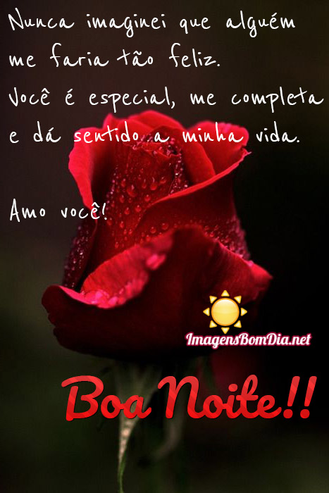 Boa Noite amor com belas frases