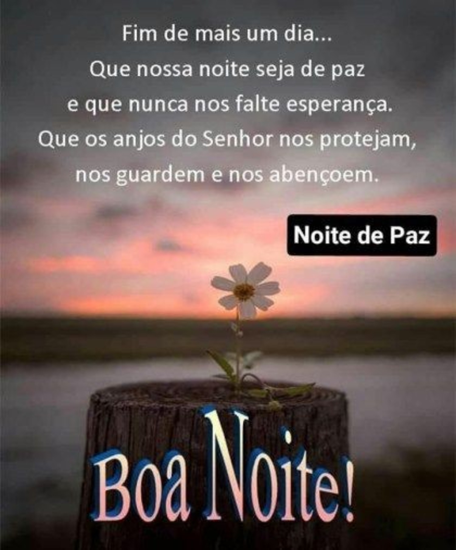 Boa Noite anjo 31