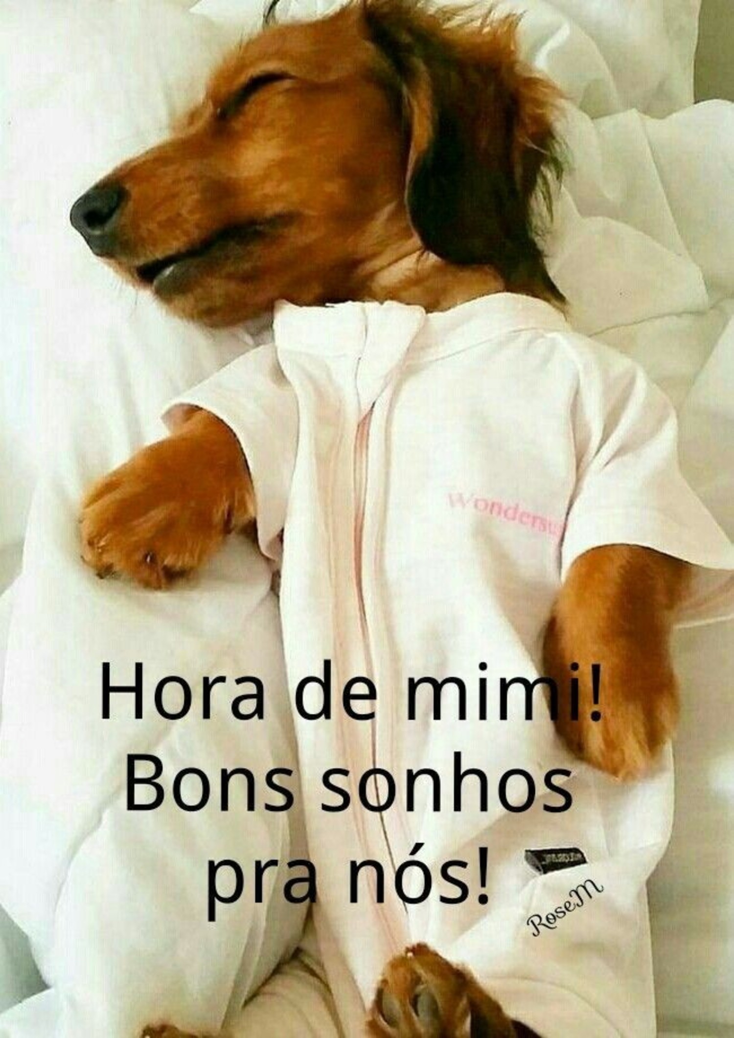 Boa Noite engraçado Boa Noite engraçado