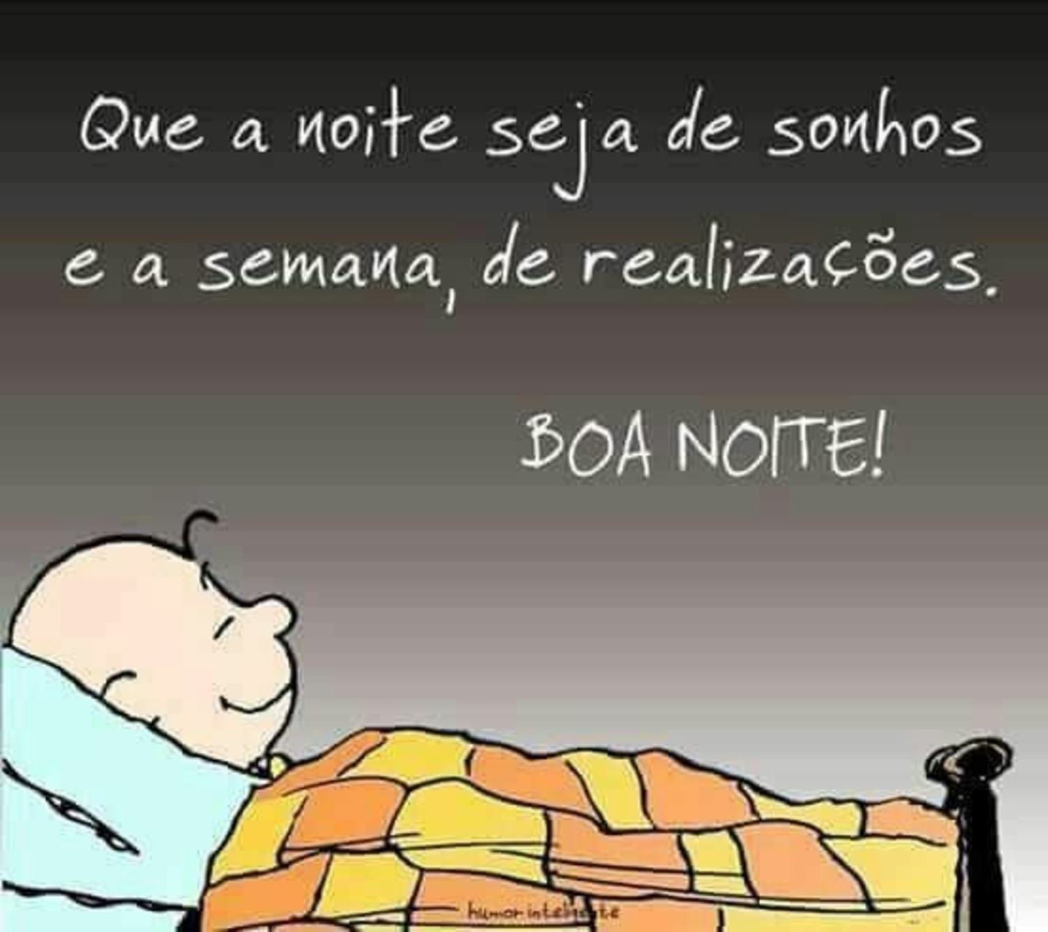 Boa Noite fotos com Snoopy 257