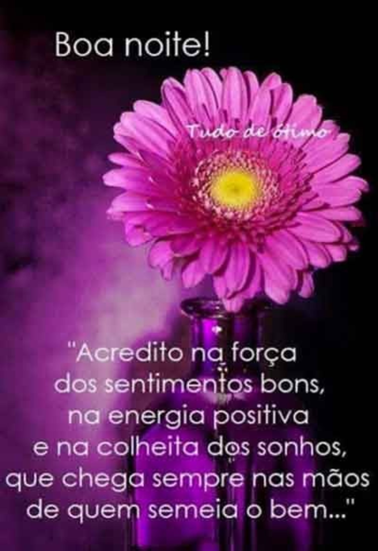 Boa Noite frases 164