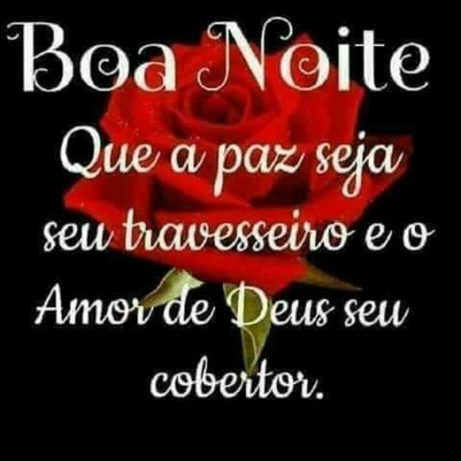 Boa Noite frases lindas 216