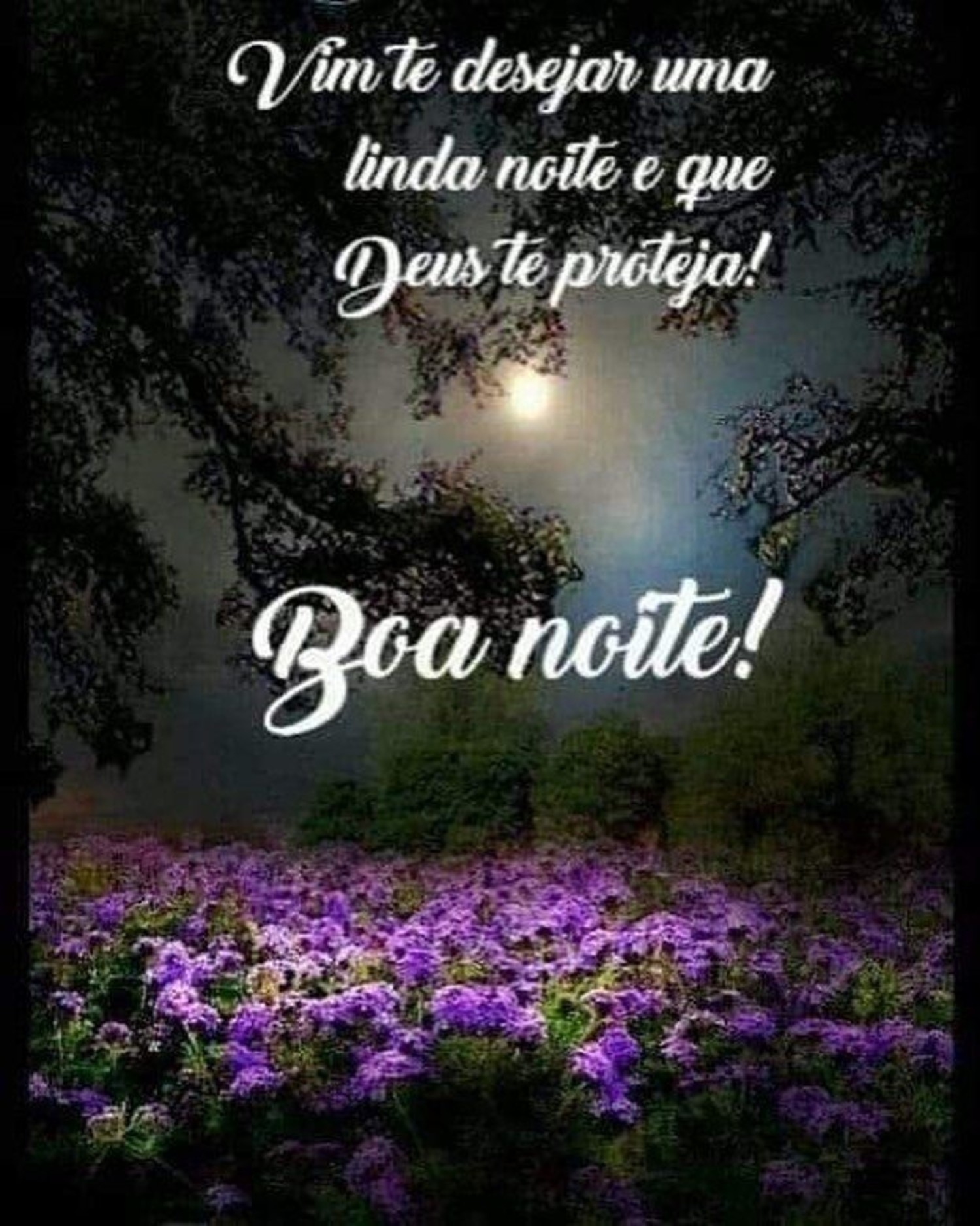 Boa Noite imagens WhatsApp 203