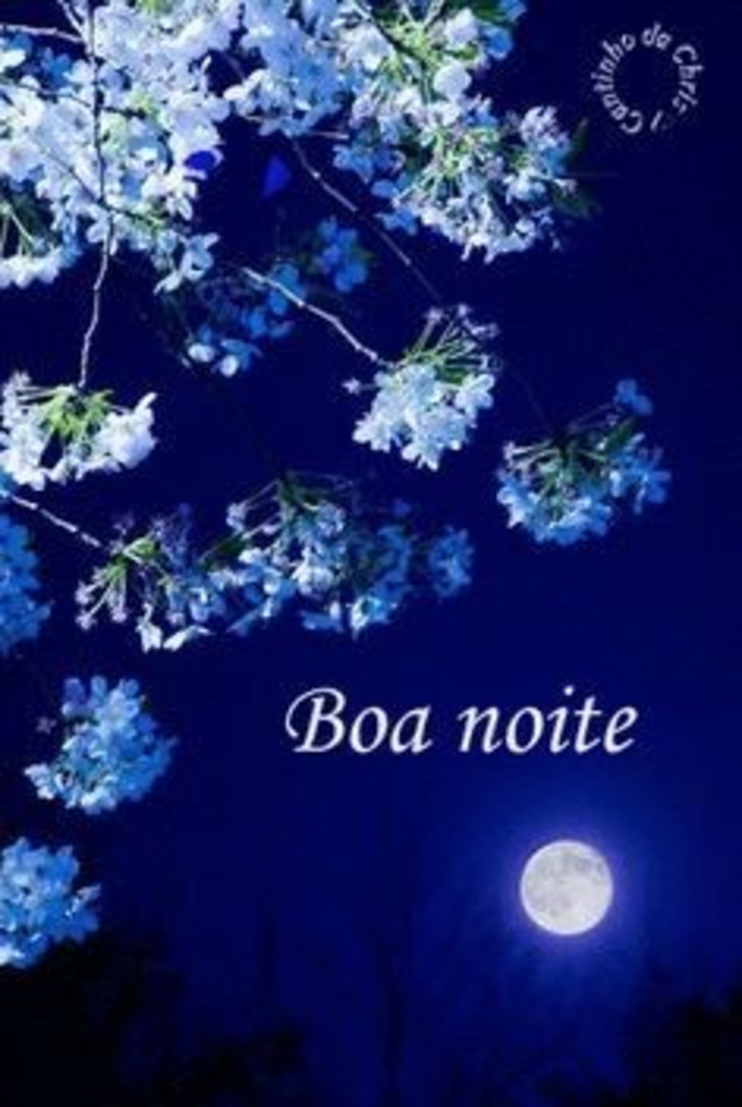 Boa Noite imagens com flores 128