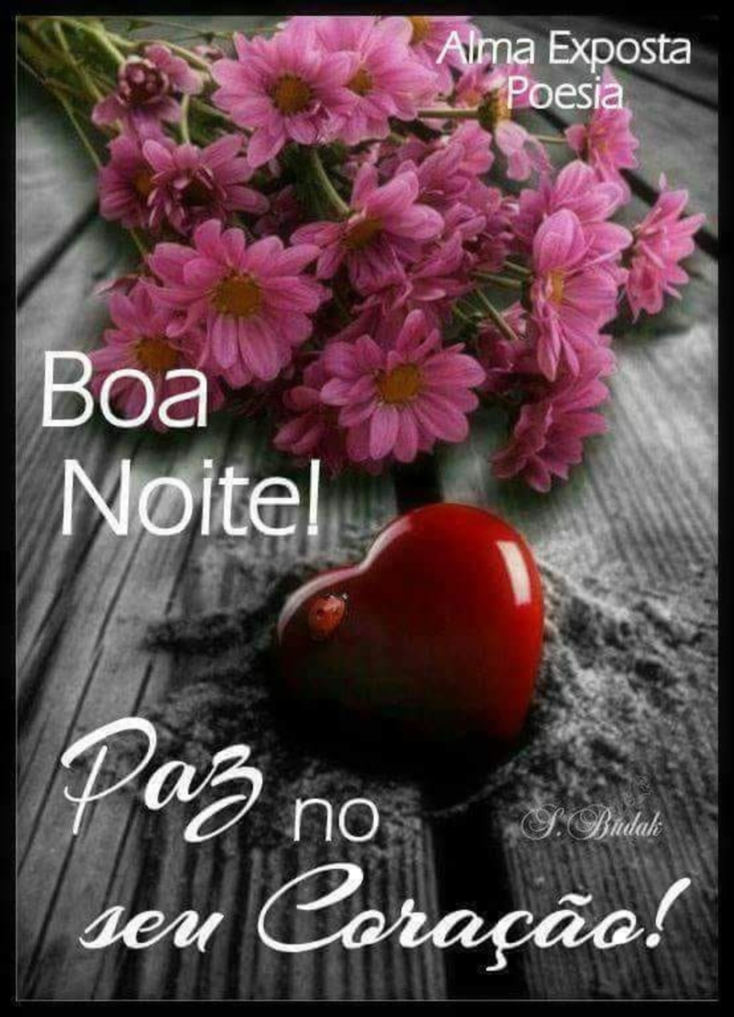 Boa Noite imagens para whatsapp 440