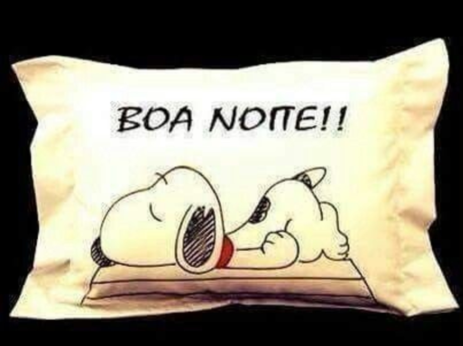 Boa Noite mensagens com Snoopy 273