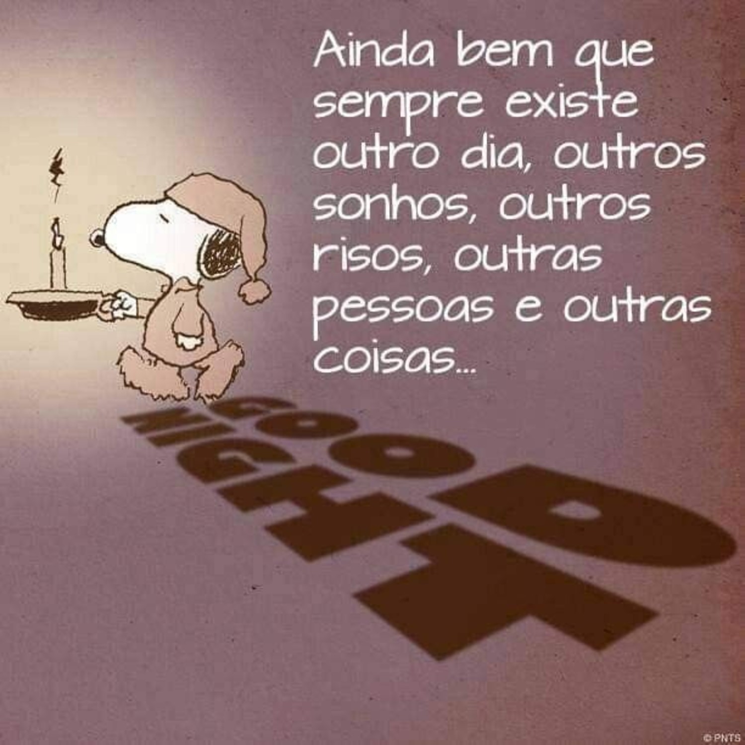 Boa Noite mensagens com Snoopy 343