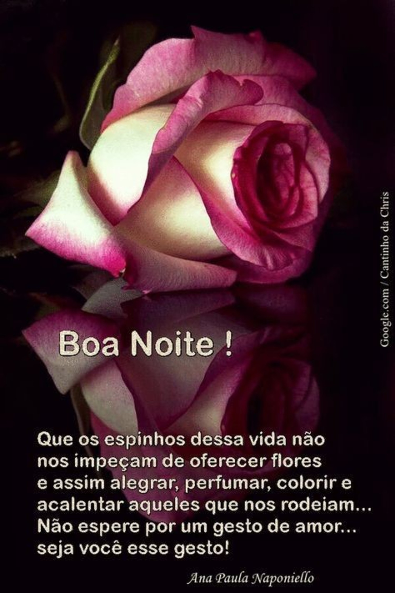 Boa Noite mensagens com rosas 312