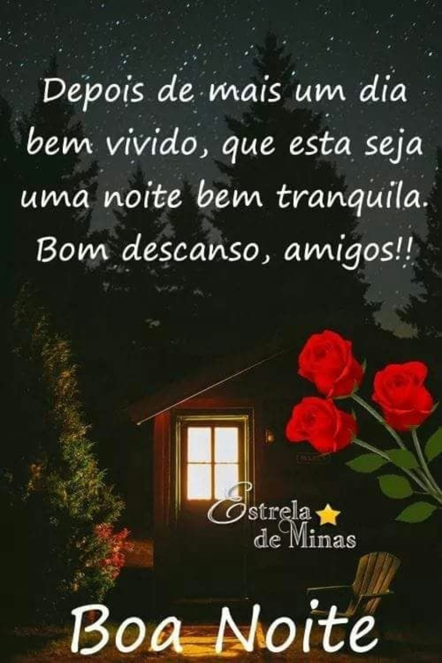 Boa Noite mensagens com rosas 75