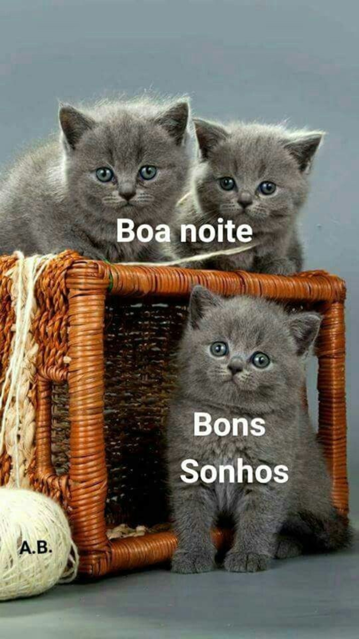 Boa Noite mensagens lindas 452