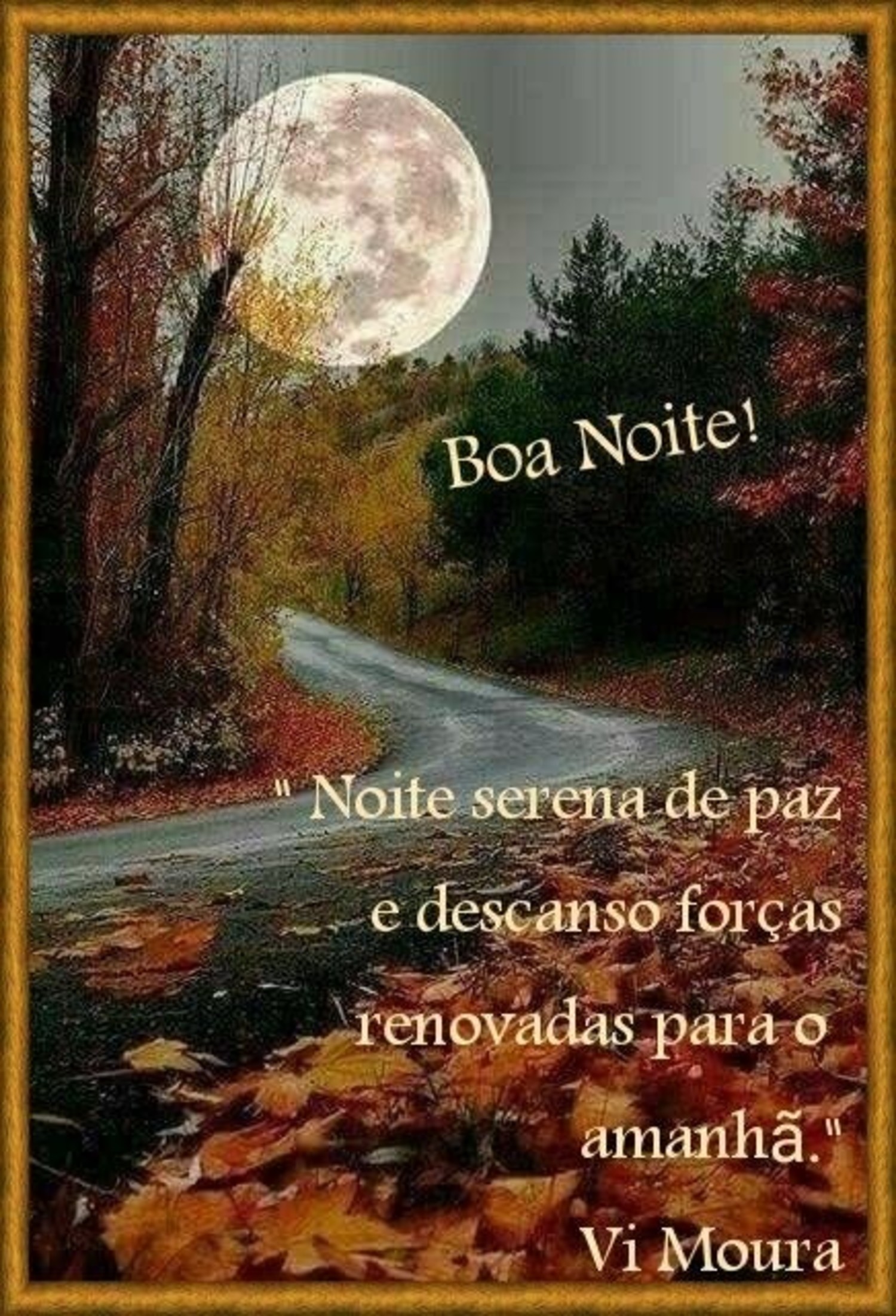 Boa Noite mensagens lindas de boa noite 95