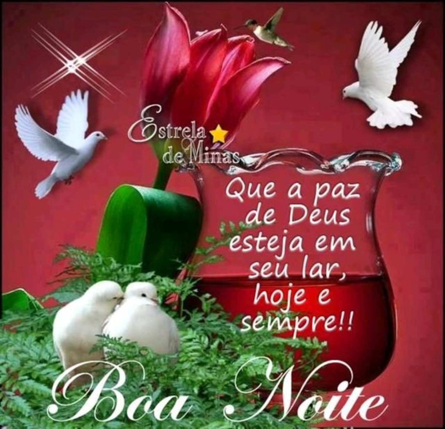 Boa Noite mensagens para Facebook 464