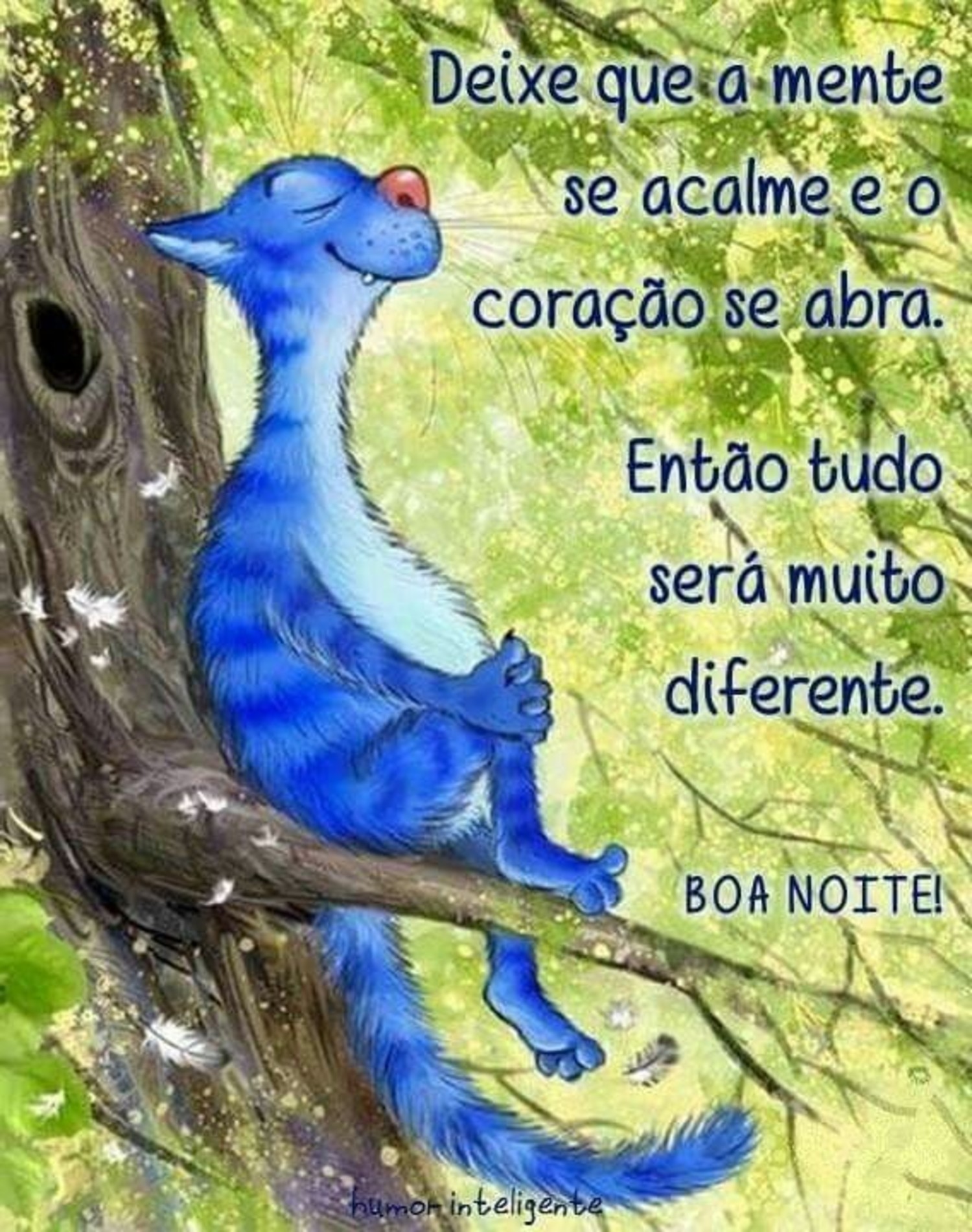 Boa Noite mensagens para Facebook 465