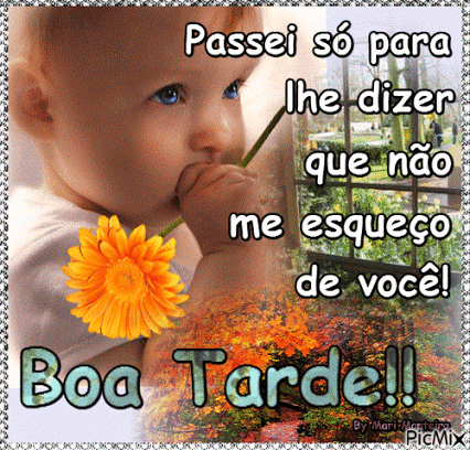 Boa-Tarde-GIF-2.gif