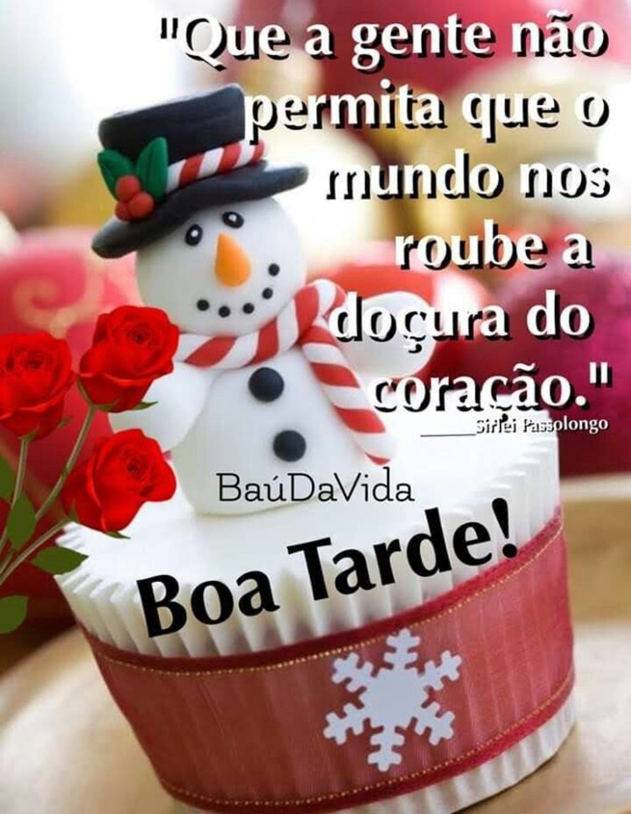 Boa Tarde Natal 78