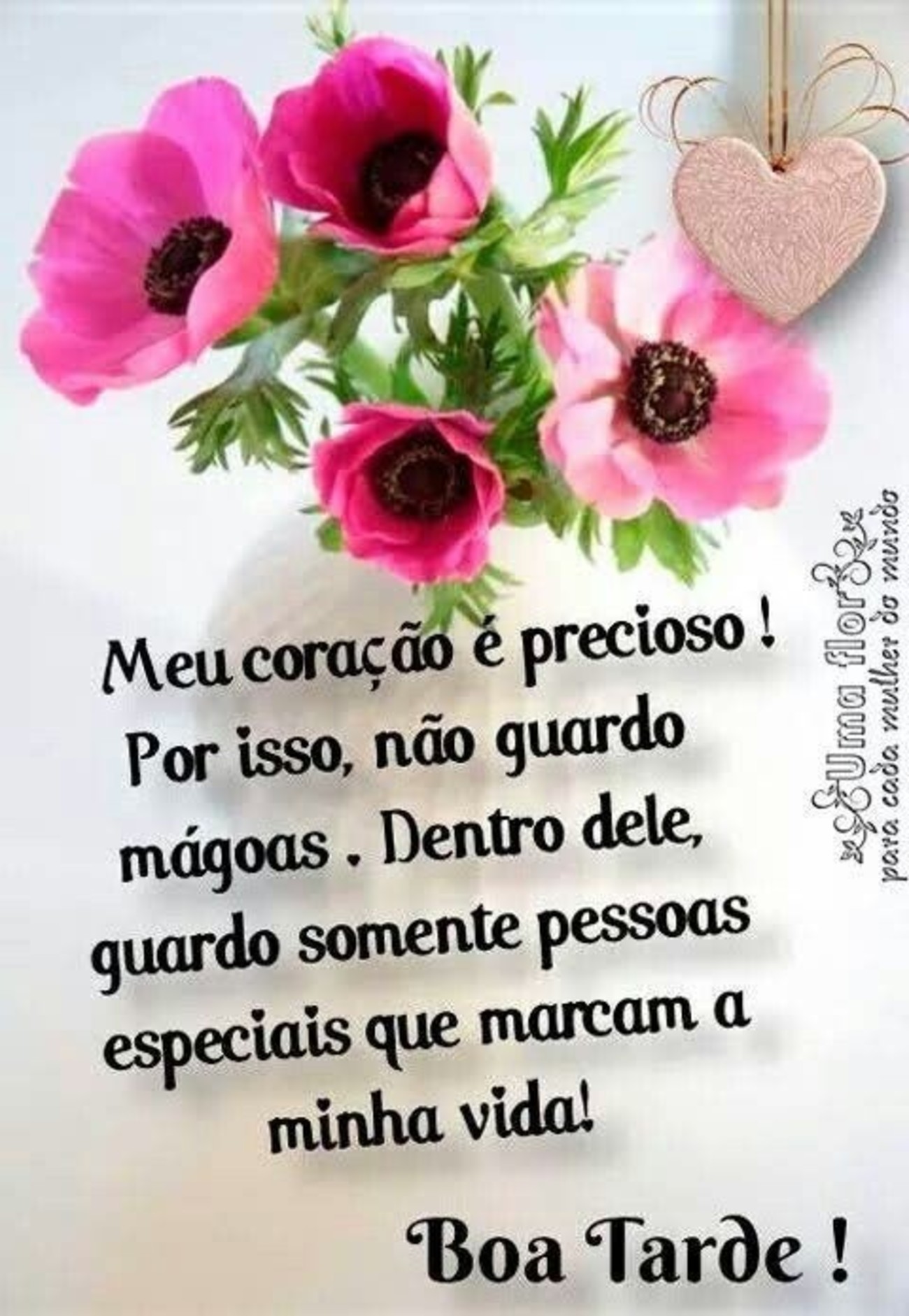 Boa Tarde Pinterest 170