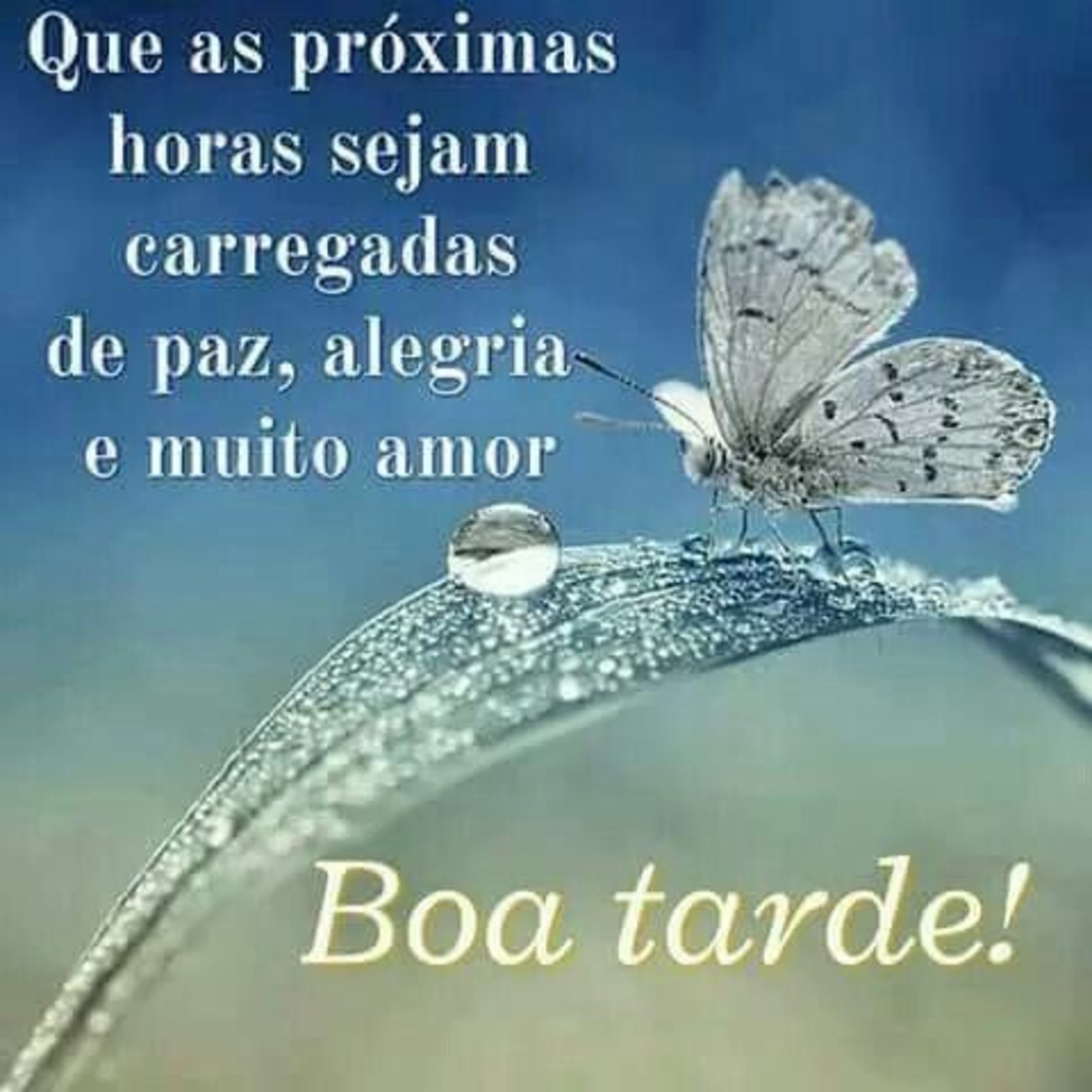 Boa Tarde a todos 251