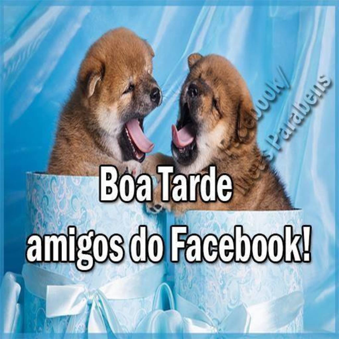 Boa Tarde amigos do Facebook 235