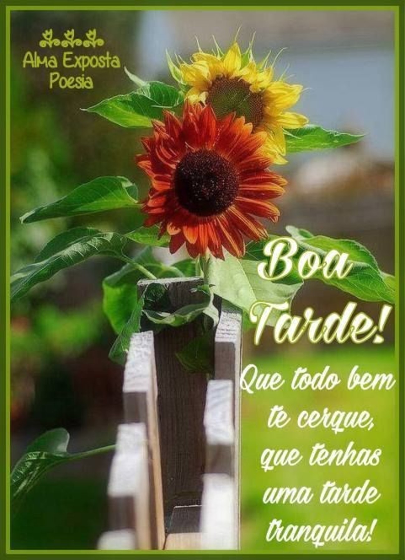 Boa Tarde amizade 26