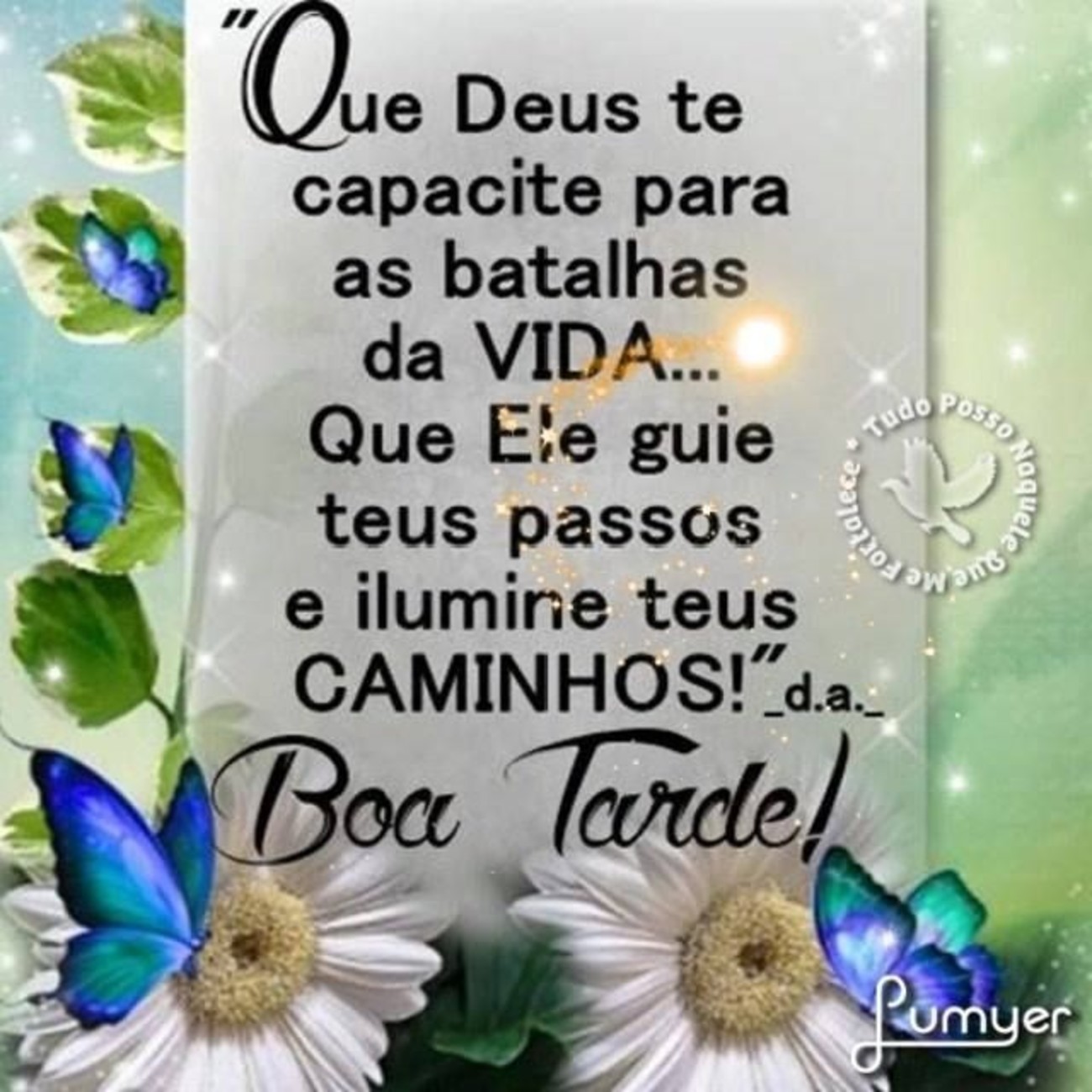 Boa Tarde amizade 262